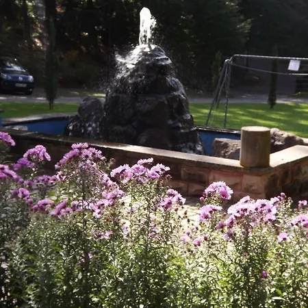 Schlosshotel 3* לנדסטול